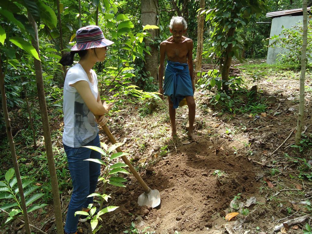 Lady Gordons Homestay Kandy Ngoại thất bức ảnh