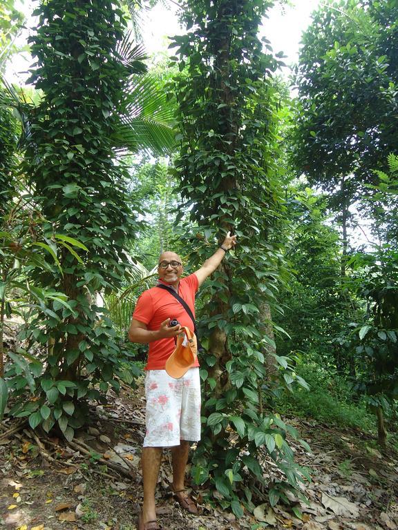 Lady Gordons Homestay Kandy Ngoại thất bức ảnh
